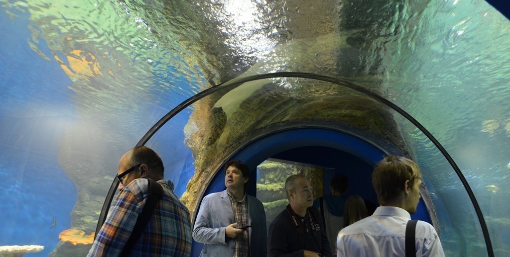 изготовление изделий +из оргстекла +на заказ москва изготовление изделий +из оргстекла +на заказ москва