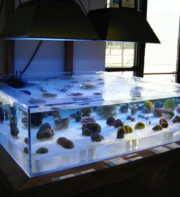 производство изделий +из оргстекла +на заказ производство изделий +из оргстекла +на заказ